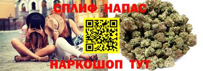 spice Будённовск
