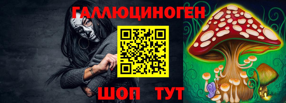 Галлюциногенные грибы Psilocybe Фрязино