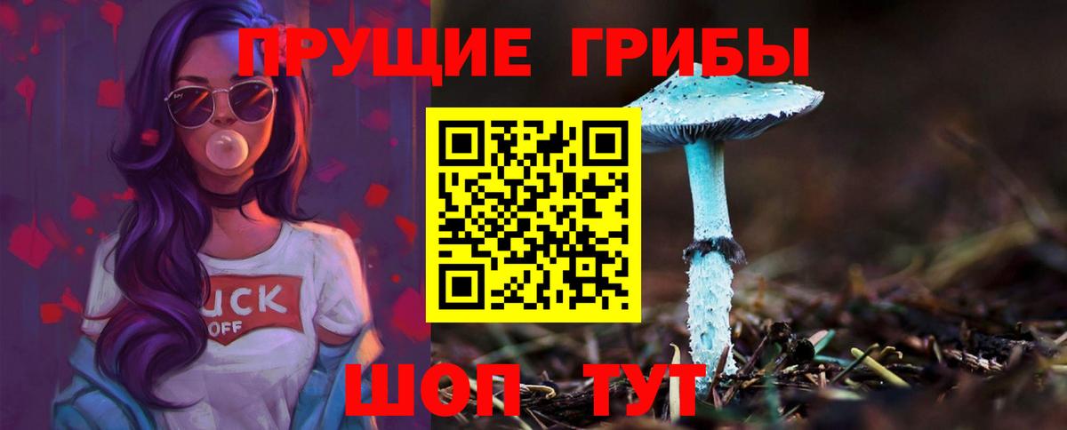 Галлюциногенные грибы Psilocybine cubensis  Галлюциногенные грибы Magic Shrooms  Фрязино  Вход с VPN 
